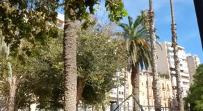 Hotel Paseito - Image 5