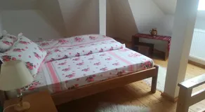 Pensiunea Muntele Gaina - Image 2