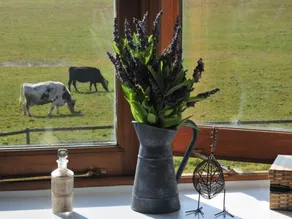 The Old Stables Bed & Breakfast - Image 2