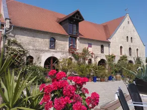 Weingut Pawis Appartements - Image 3