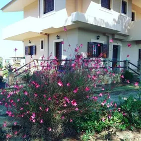 Armiriki Apartments - Image 1