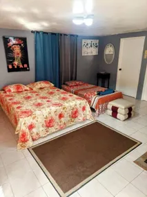Apartment 379 Hudson Avenue - Image 2