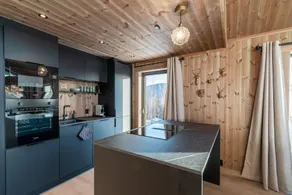 Spacious lodge with sauna, ski centre - Image 5