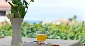 Briuni Riviera Apartment - Image 4