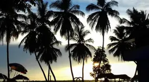 Treatooo Lake resort - Image 4