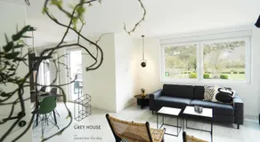 The Grey House - Image 4