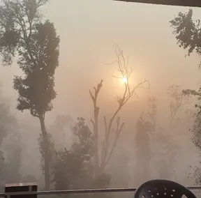Sunrise Homestay, Nagarahole - Image 2