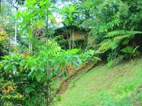 Sinharaja Eco Lodge - Image 3