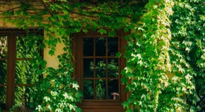 Une pause sur la colline - Image 3