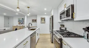 East Lincoln Park Gem Spacious 4 BR - Image 2