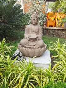 Kihim Comfort - Image 4