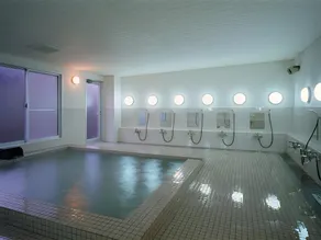 Ryuo Park Hotel - Image 2