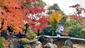 日本庭園古民家　飯田屋　Traditional experience iidayajapan - Image 3