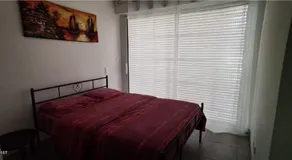 chambre au pied de la forêt - Image 3