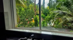 The Tree Terrace - Image 5