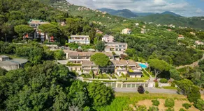 La Piccola Mimosa - Image 4