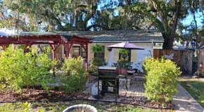The Three Sisters - Pelican Crystal River FL - Image 5