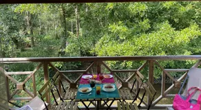 Le Vrai Paradis - Image 4