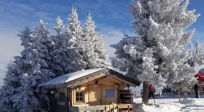 Erholsamer Traumurlaub wo auf Bergen Schlößer wachsen - Image 2