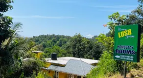 Munnar Lush Greens - Image 3
