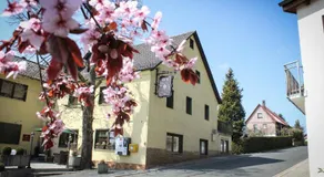 Hotel Rosenhof Garni - Image 5