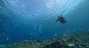 ISLANDSTAY珊瑚Tokashiki旧旅館村元 - Image 3