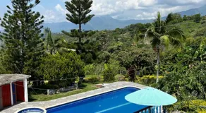 Finca Dinastia - Image 3