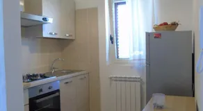 il pettirosso - Image 4