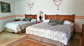 Hotel Posada Mexicana - Image 2