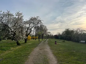Le relais de chasse - Image 4