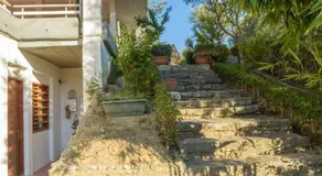 An Edens Garden Near The Sea - Pansion Youli - Image 5