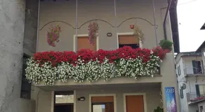 B&B Stephany - Image 5