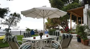 The House by the Beach, Metamorphosis - Image 4