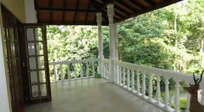 Hantana Forest Reserve Inn - Image 4