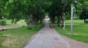 Birkagårdens Vandrarhem - Image 3