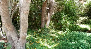 The Hideaway Luxury B&B Retreat - Image 5