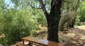 Gîte Camping Amazigh - Image 4