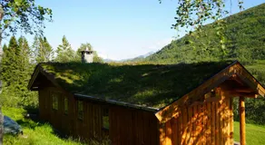 Langlofonna - Image 3