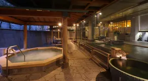 Kamogawakan - Image 5