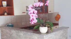 Guest House Domig - Image 4