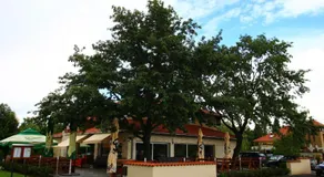 Aurora Panzió - Image 3