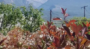Dirala Guest House - Image 5