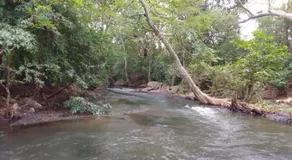 ANGAMMEDILLA resort - Image 4