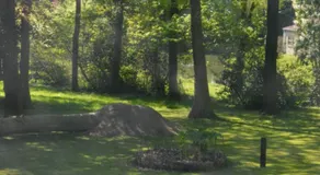 B & B Landhuis Ter Velt - Image 4