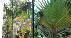 Casa da Praia - Image 3