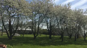 Gîte Le Clos de la Bertinière - Image 5