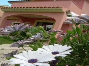 Ariedo Bed And Breakfast - Image 4