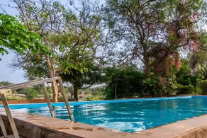 Leo wooden resorts - Image 5