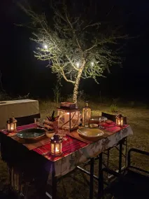 wildscape Jawai - Image 3