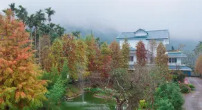 Look Bed and Breakfast - Image 5